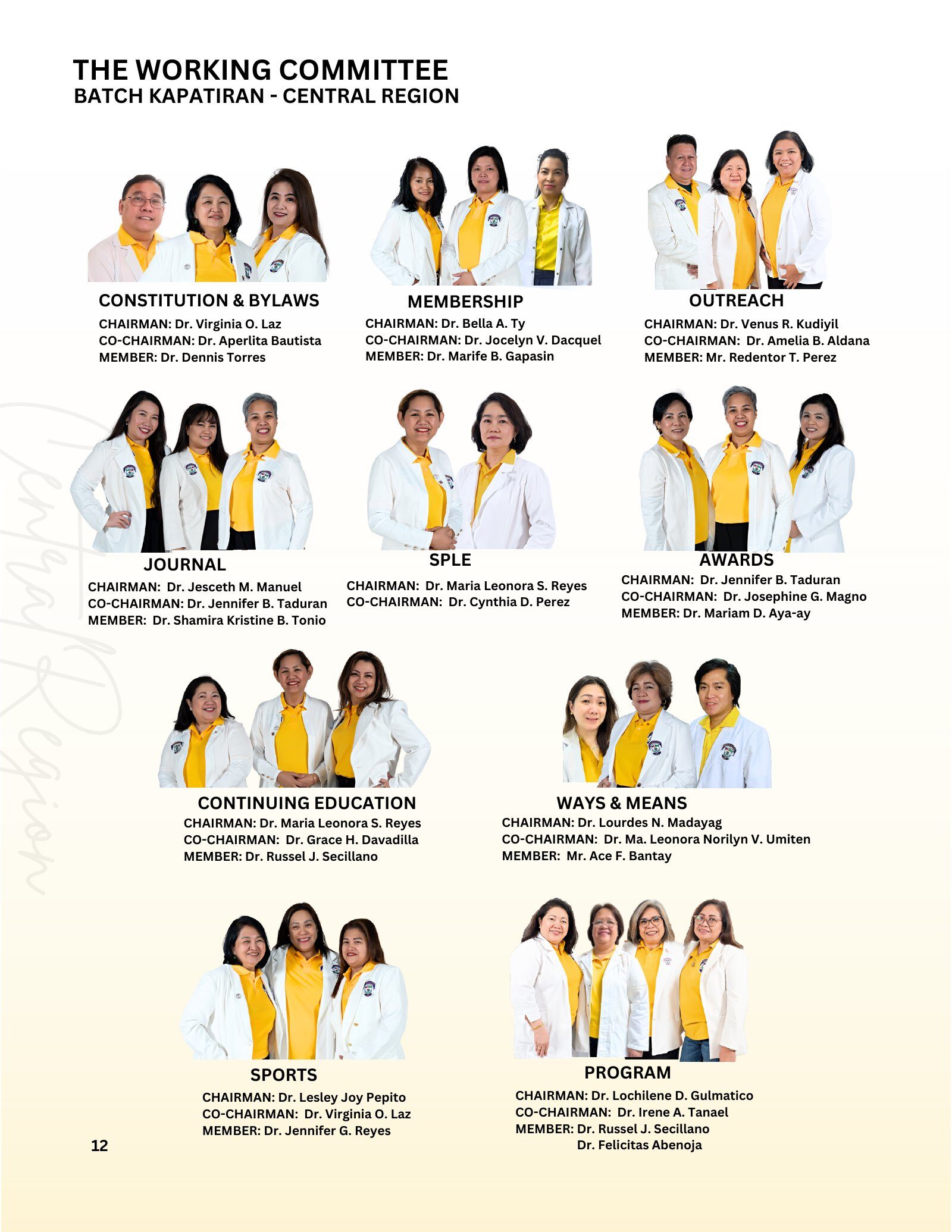 Page 12