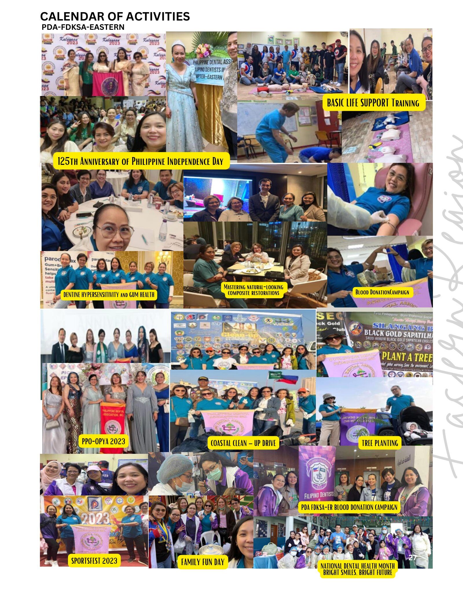 Page 27
